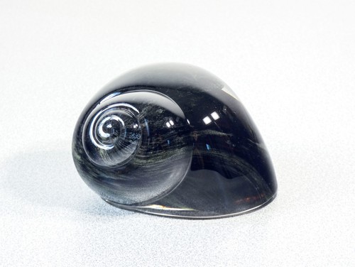 Sculpture shell snail - shell,