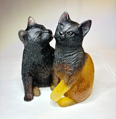 Daum cat couple - daum,