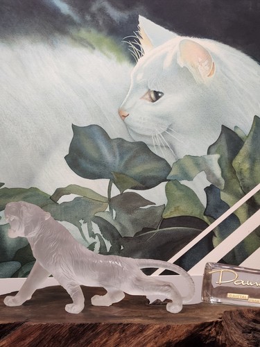 Rare daum white bengal - rare,